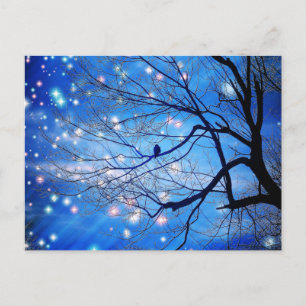Alone With The Stars Postcard