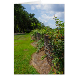 Along The Curved Wall
