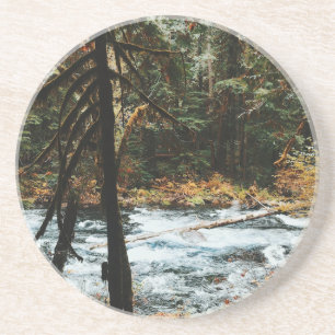 Along the McKenzie River Coaster