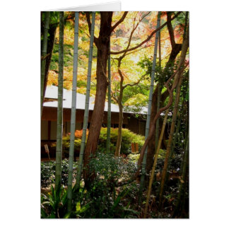 Along the Philosopher's Path