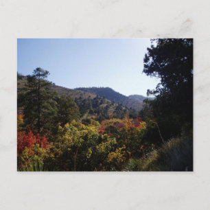 Along the Road - Canyons from Trail Postcard