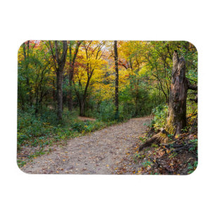 along winding forest trail of lebanon hills magnet