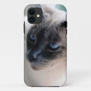 Aloof Siamese Cat Case-Mate iPhone 5 Case