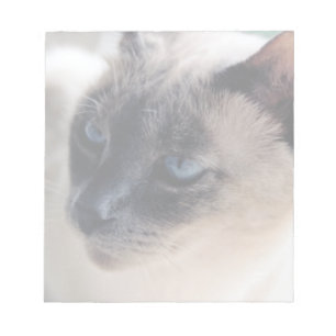 Aloof Siamese Cat Notepad
