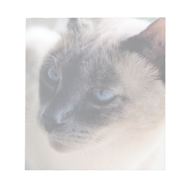 Aloof Siamese Cat Notepad (Front)