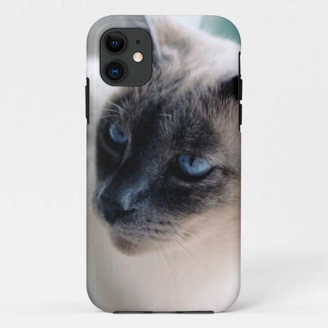 Aloof Siamese Chat Coque-Mate iPhone 5 Coque (Dos)