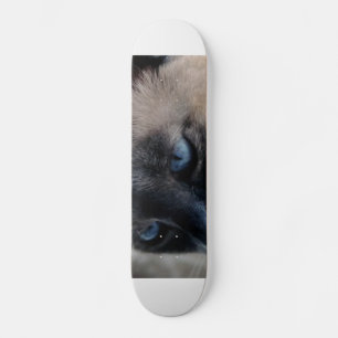 Aloof Siamese Chat Skateboard