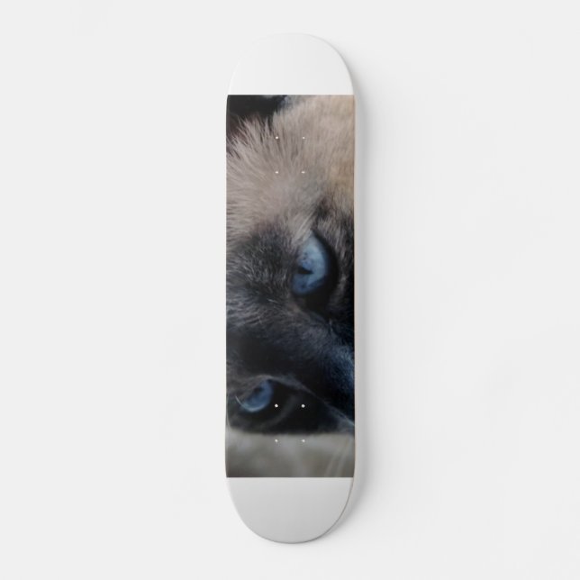 Aloof Siamese Chat Skateboard (Recto)