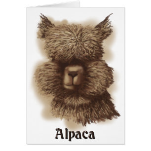 Alpaca