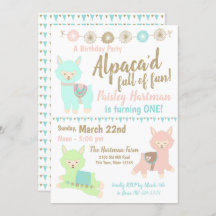 Alpaca 1st Birthday Party