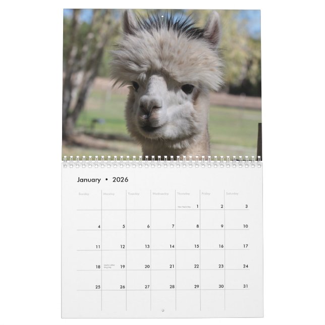 Alpaca 2021 Calendar (Jan 2026)