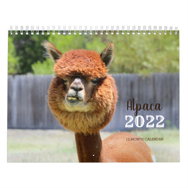 Alpaca 2022 Calendar (Cover)