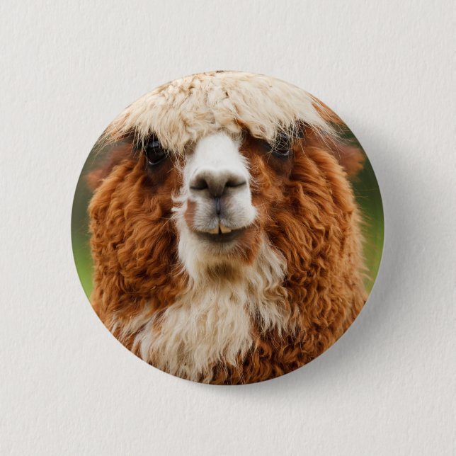 Alpaca 2 Inch Round Button (Front)