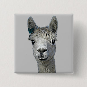 Alpaca 2 Inch Square Button