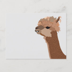 Alpaca Animal Cute Postcard