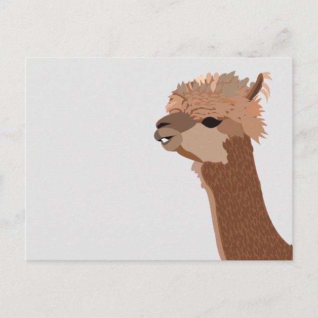 Alpaca Animal Cute Postcard (Front)