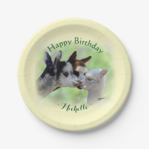 Alpaca Baby Birthday 7 Inch Paper Plate