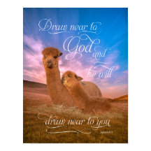 Alpaca Bible Verse Draw Near to God Poster