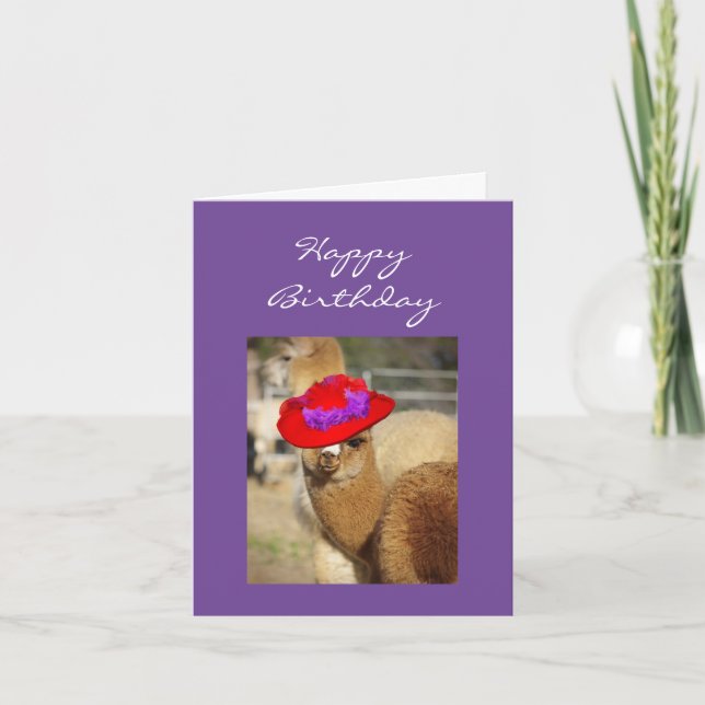 Alpaca Birthday Cards (Front)
