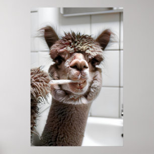 Alpaca Brushing Teeth, Hilarious Bathroom Wall Poster