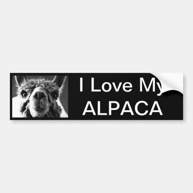 Alpaca Bumper Sticker (Front)