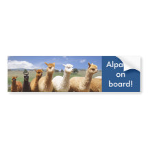 Alpaca Bumper Sticker Alpacas on Board
