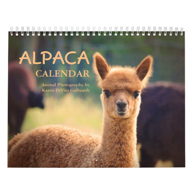 Alpaca Calendar 2025 (Cover)