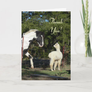 Alpaca Carte de remerciements
