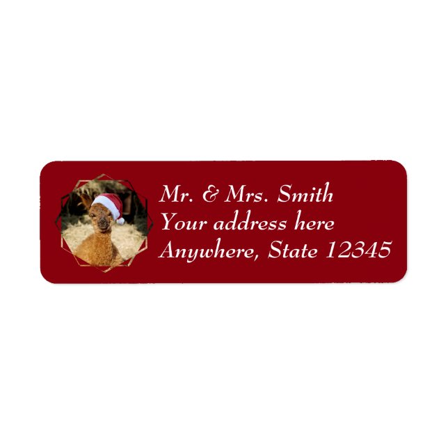 Alpaca Christmas Address Labels (Front)