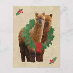 Alpaca Christmas Postcard