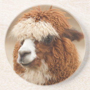 Alpaca coaster