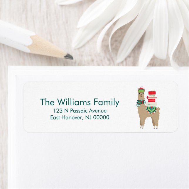 Alpaca de Noël festif (En situation)