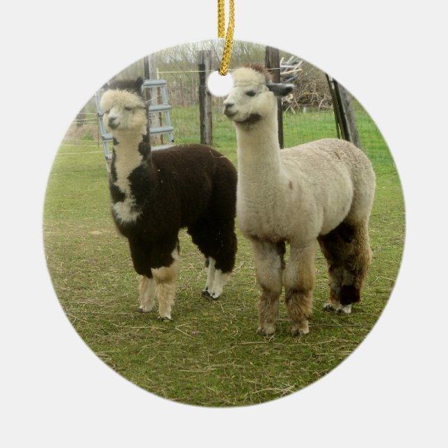 Alpaca Duo Ceramic Ornament (Front)