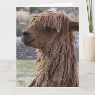 ALPACA FUNNY BIRTHDAY GREETING CARD