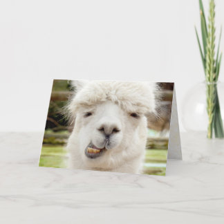 Alpaca Funny Face Card