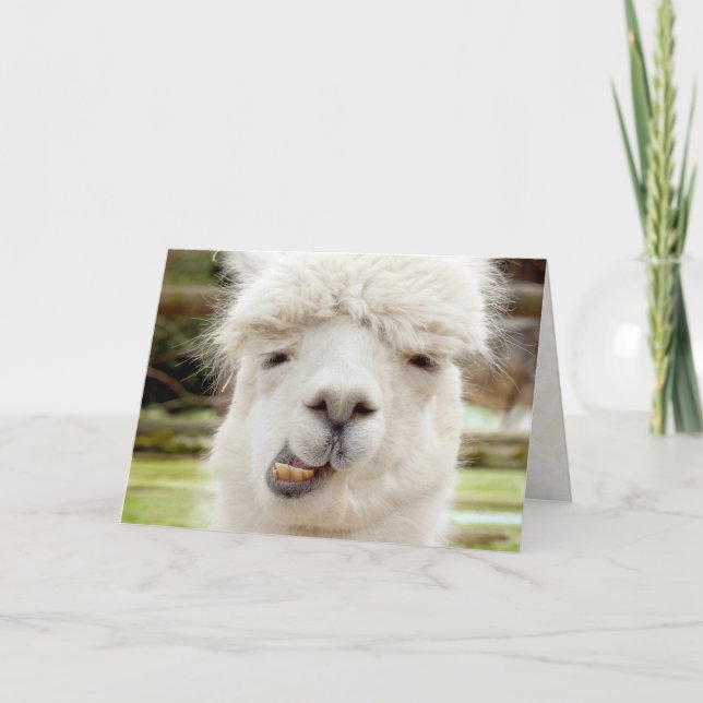 Alpaca Funny Face Card (Front)