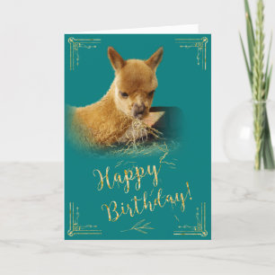 Alpaca Gold Hay Teal Birthday Card