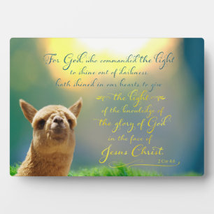Alpaca Gold Teal Bible Quote Easel Plaque