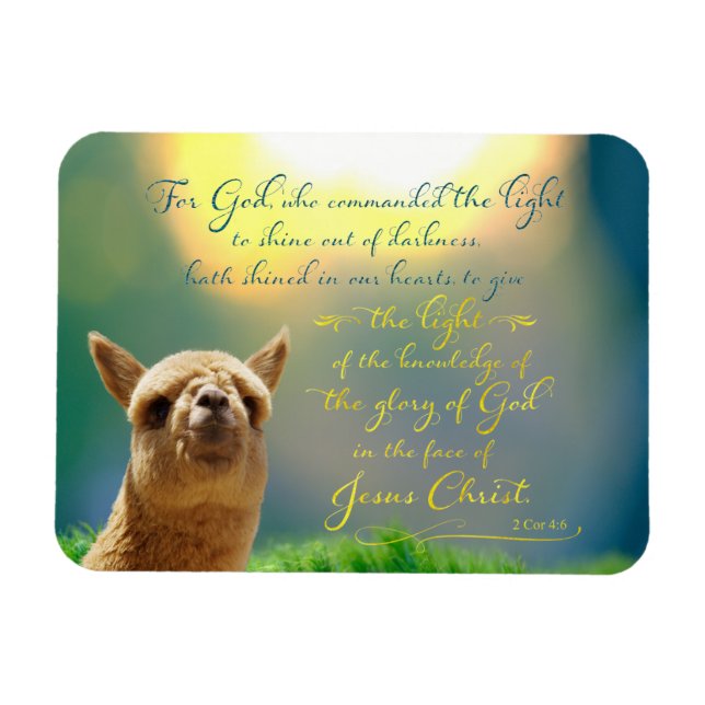 Alpaca Gold Teal Bible Verse Photo Magnet (Horizontal)