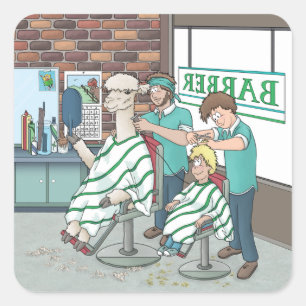 Alpaca haircut square sticker