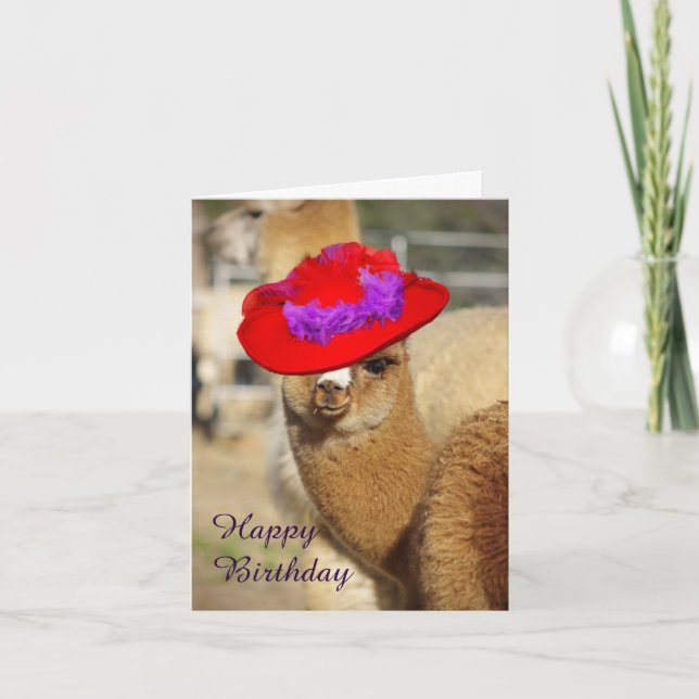 Alpaca Happy Birthday Cards (Front)