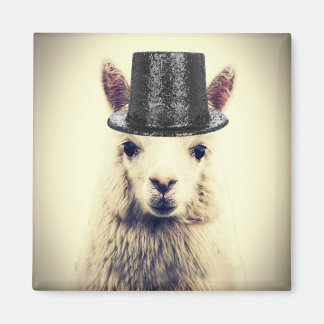 Alpaca in a Tophat Magnet