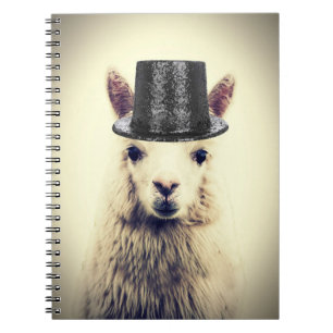 Alpaca in a Tophat Notebook