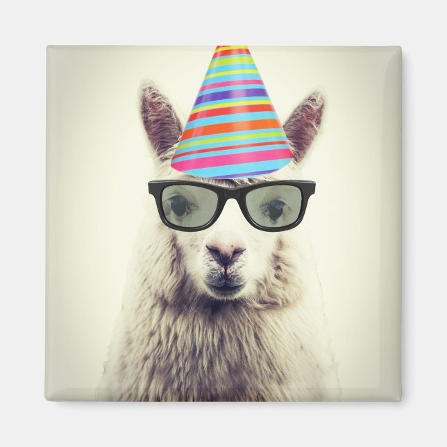 Alpaca in Glasses and Party Hat Magnet (Front)