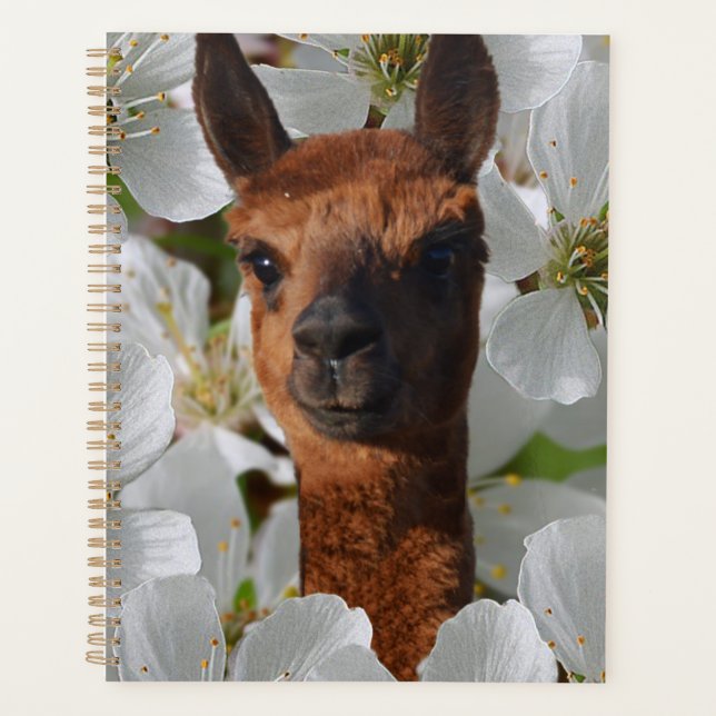 Alpaca In White Blossoms, Planner (Front)