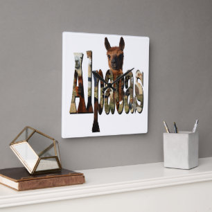 Alpaca Is The Name, Square Wall Clock