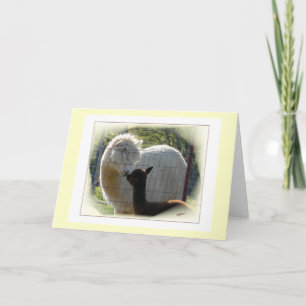 Alpaca Kisses Card