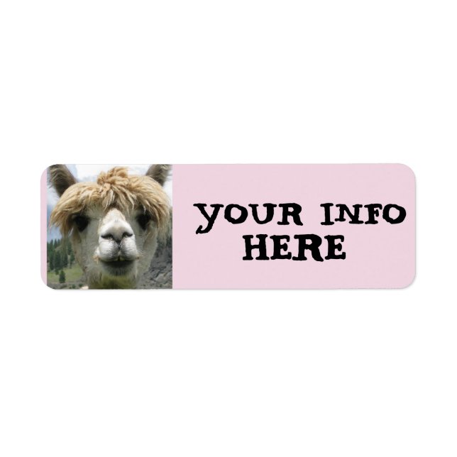 ALPACA LAMA RETOUR ADRESSE ÉTIQUETTES (Devant)