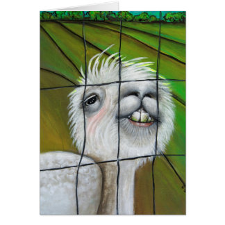 Alpaca - Little Dreamer note card