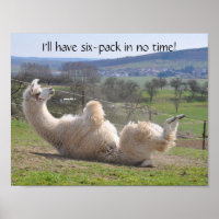 Alpaca llama funny exercise motivational poster